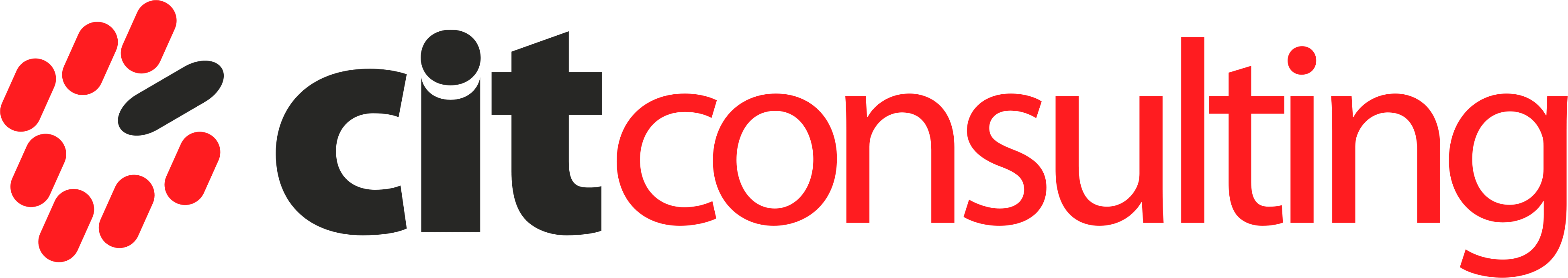 Logo: CIT Consulting